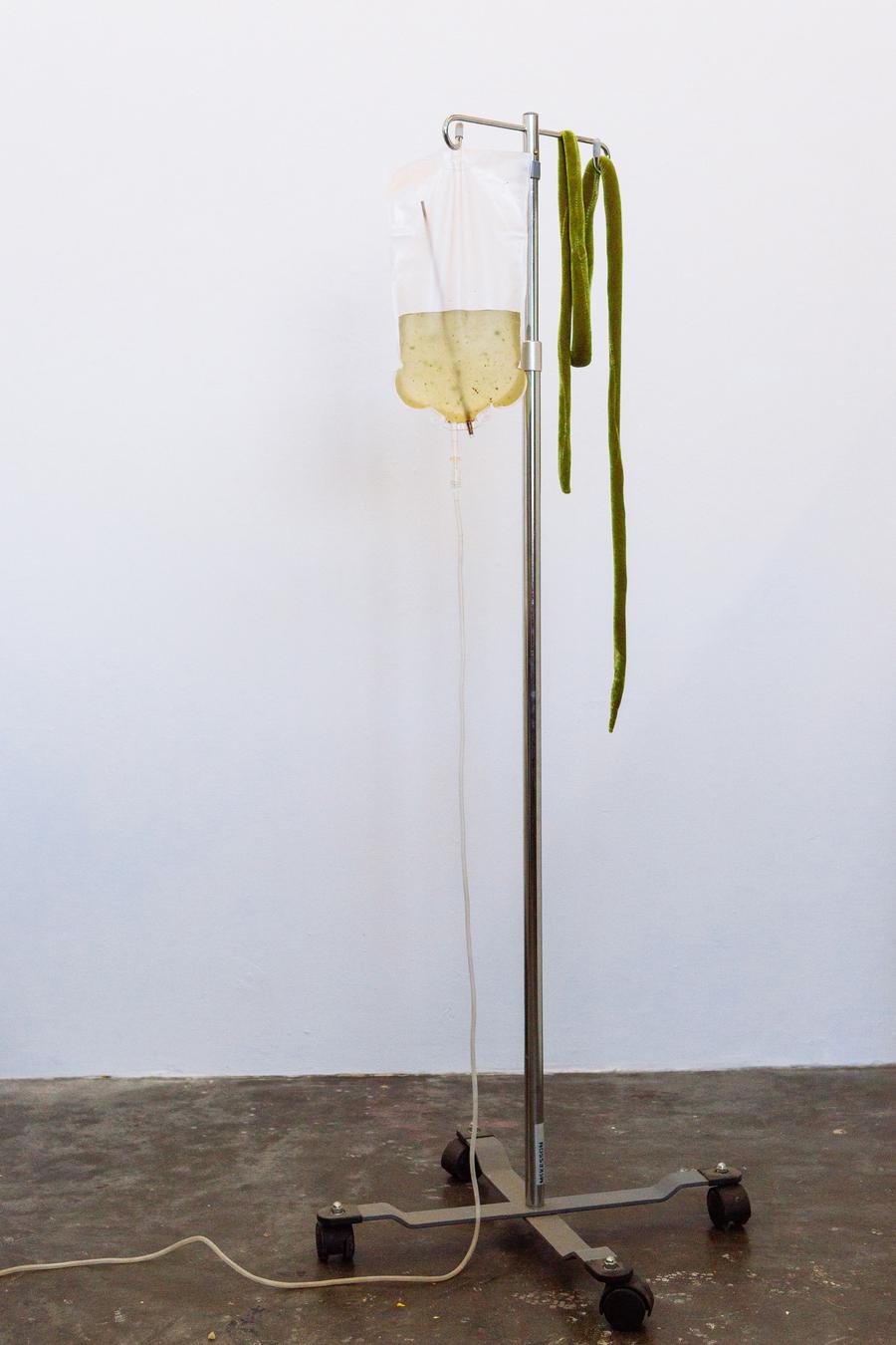 A metal IV stand on wheels holds up a clear IV Bag of greenish liquid. Small green blobs float around inside. Clear tubing cascades down to the ground and trails to the left of the image. A green velvet vine-like sculpture hangs on the right side of the IV stand.